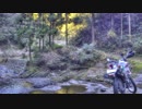 セローと行く、ぶらり旅 part2 近所の山