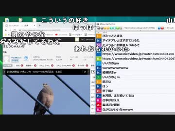 【ch】うんこちゃん『雑談』5/11【2019/01/11】