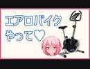 ふぇありすとエアロバイク【未完成版】
