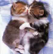 ときめきのrooftop 初音ミクオリジナル曲