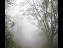 【癒し】穏やかな波の音としっとり降る雨の音《10分》（睡眠用BGM・作業用BGM・ASMR）