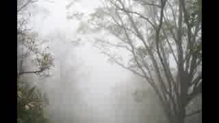 【癒し】穏やかな波の音としっとり降る雨の音《10分》（睡眠用BGM・作業用BGM・ASMR）