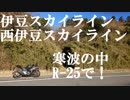 R25で名道を往く2【伊豆・西伊豆スカイライン】