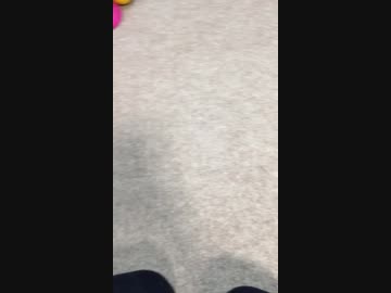 ぽめろぐ20190112