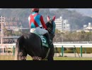 【ウイニングポスト8 2015】女馬主と早世馬の新世界【実況プレイ】328