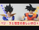 ドラゴンボール～ベジータと悟空の楽しい休日★～
