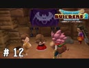 美少女探知犬【DQB2実況＃12】