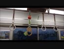 【近鉄】開運招福つり革