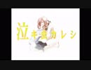 【懐かしのメドレー】泣き虫カレシ歌ってみた　ネイロ＆N/H