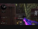 【COD BO4】装備頼りの対人戦78【TDM】