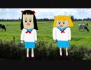 ティックトッククック