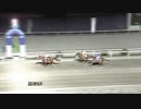 2019年1月13日高知競馬6R Ｇバジーと陽子協賛 ＩＤ地方競馬特別(C2-5組) トーアアステリオス
