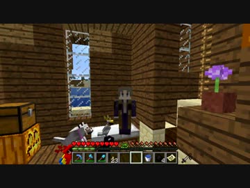 しょしんしゃはせべのゆるゆるまいくら８