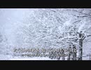 [JPOP] 冬がはじまるよ / 槇原敬之 (VER:SL 歌詞：表示 /カラオケ ガイドメロディーあり)