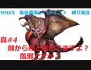 【MHXX/NS】顔から熱と粉出てますよ?風邪ですか?VSテオ・テスカトル【縛り実況】真#4