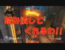 【OVERWATCH】ハム太郎でゴロゴロドッスンする動画【オーバーウォッチ】