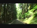 【車載動画】夏の国道345号「酷道」【2】