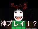 【神プレイ】恐怖の森プレイしたら奇跡が起こったったｗ【実況】