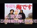 【新商品食べてみた!!】"Aerial 梅味"帰ってきた！新”1分で”新SHOW”品！ 第131回　1月15日（火曜日）