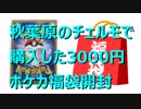 【開封動画】秋葉原で購入した3000円のポケカ福袋開封