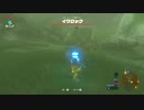 【ゼル伝BotW】100年の眠りから目覚めた勇者の冒険２８【もちまる】