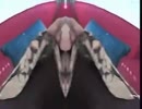 不機嫌な果実実果な嫌機不