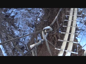 低山を歩こう 毛無山-十二ヶ岳縦走 20190113 part2