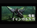 【初見】目指せ全モンスター討伐！もっとくろーするMHXX実況！　２９狩り目