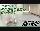 ゴキブリにタバコの煙を吸わせたら想像以上の結果になった。