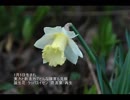 誕生日に贈る言葉～1月5日生まれの創造力が優れたあなたに－聴きものがたり