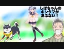 インフルエンザに討ち克つしば