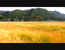 田舎道の奥、蛍の公園