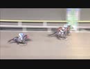 2019年1月15日船橋競馬10R 初鷹スプリント(B1・B2) ロマンコスモ
