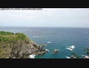 【生海月】なまくらじお【2019.1.17】