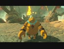 厄災かけますね.botw36