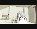 【個人用】夏恋花火【VRC改変アバターMMD化】