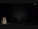 メロン田中ブツブツゲーム配信『157』レベル上げ苦戦またディープなダンジョン