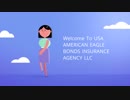 Performance Bonds At USA AMERICAN EAGLE BONDS INSURANCE AGENCY LLC