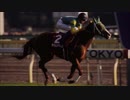JRA CM 夢の第11レース 【夢のラスト1ハロン各馬まとめ】