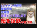 猫の紐誤飲から数日経過。レントゲン撮影の費用や開腹手術・内視鏡について