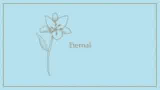 ◆Eternal / 初音ミク【オリジナル】