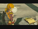 【気ままに初見】ゼルダの伝説 Breath of the Wild【実況】Part95