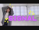 【かっぴぃ】SIGNAL踊ってみた【9人を1人で】