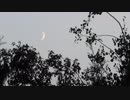 View of a New Moon　足利達矢