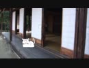 ねこ活動 #01