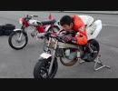 ホモと見る気にもならない乃万家   糞動画