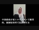 親族が強制収容所に入れられたウイグル人たちの証言　その23