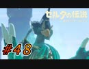 【ゼルダ実況】言葉が全てではないという事  #48 【ゼルダの伝説ブレスオブザワイルド】