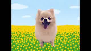 ハナちゃんのイメチェン