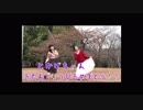 【1日遅れのとかげ誕】バタフライ・グラフィティ　踊ってみた【憂】